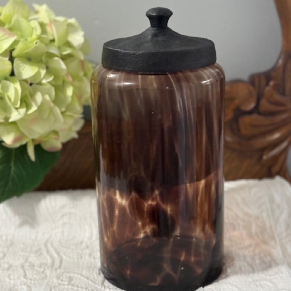 Tall Tortoise 🐢 Shell 🐚 Glass Canister